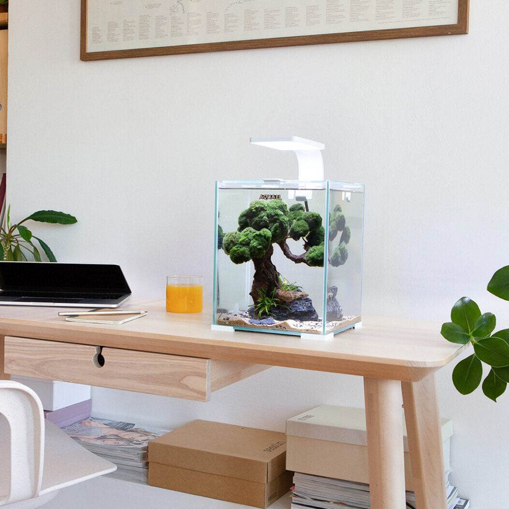 Aquael Shrimp Set Day & Night 20L - White