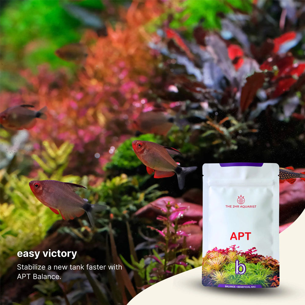 2Hr Aquarist APT Balance