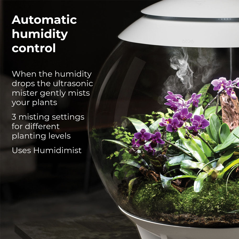 Air 60 Terrarium - White