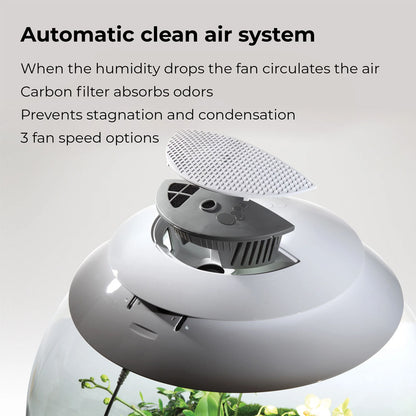 Air 60 Terrarium - White