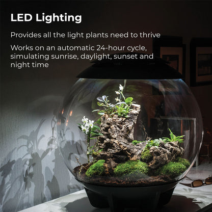 Air 60 Terrarium - White