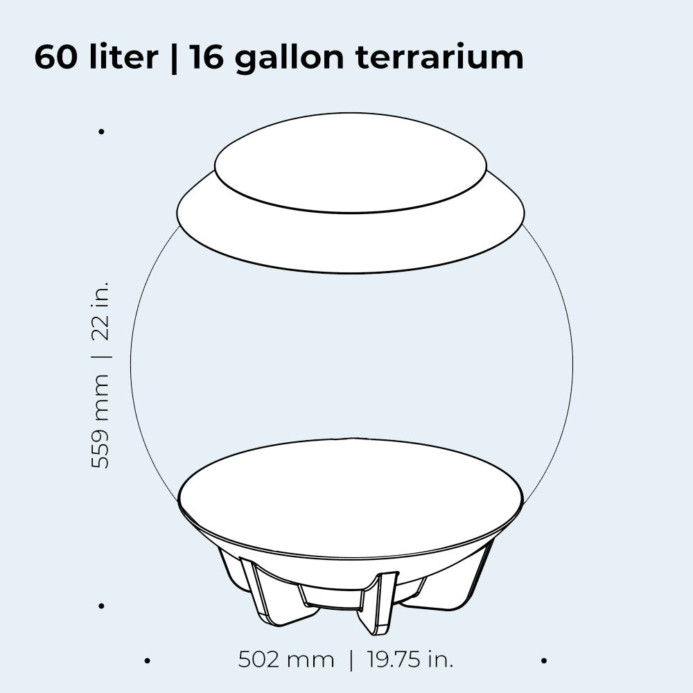Air 60 Terrarium - White