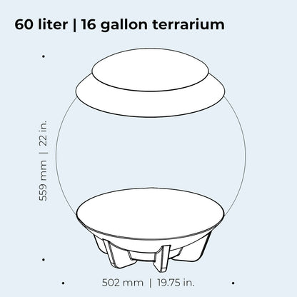 Air 60 Terrarium - White