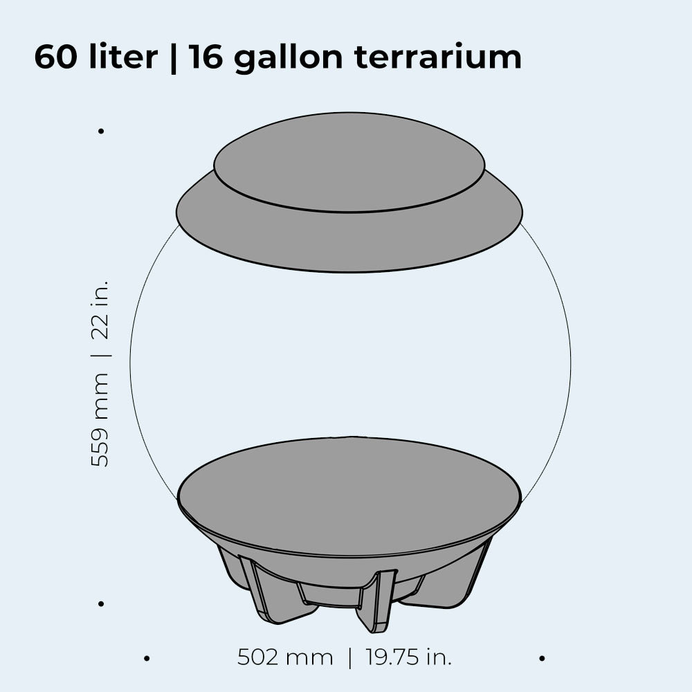Air 60 Terrarium - Grey