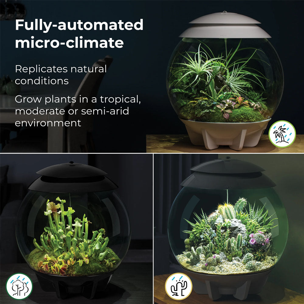 Air 30 Terrarium - Grey