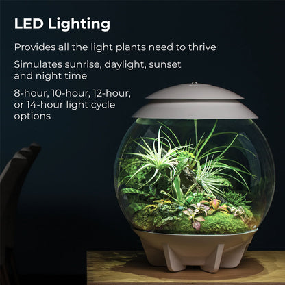 BiOrb Air 30 Terrarium - Black