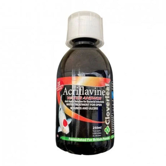 Acriflavine Water Answer