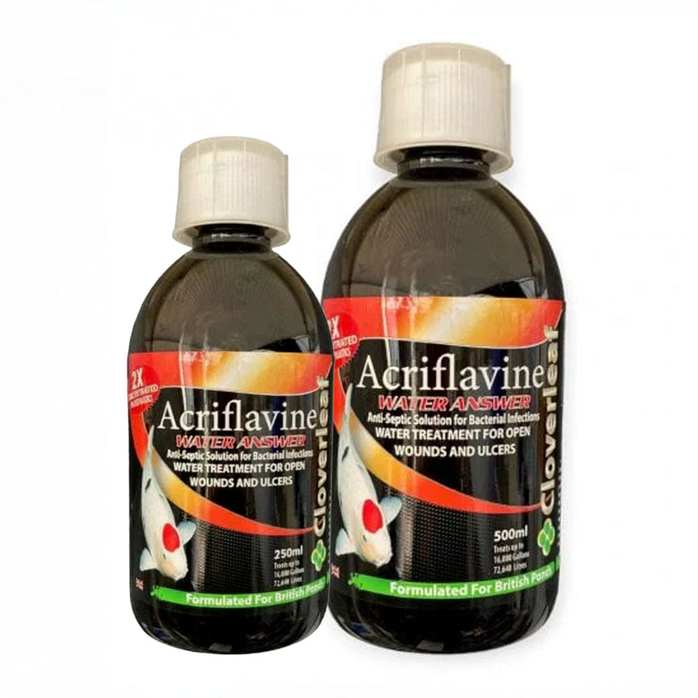 Acriflavine Water Answer