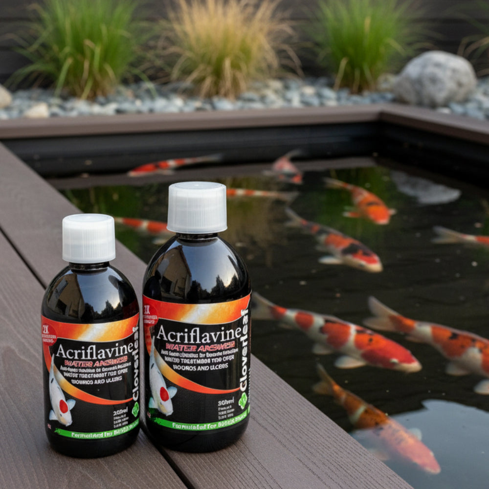 Acriflavine Water Answer