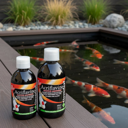 Acriflavine Water Answer