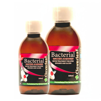 Bacterial Water Answer