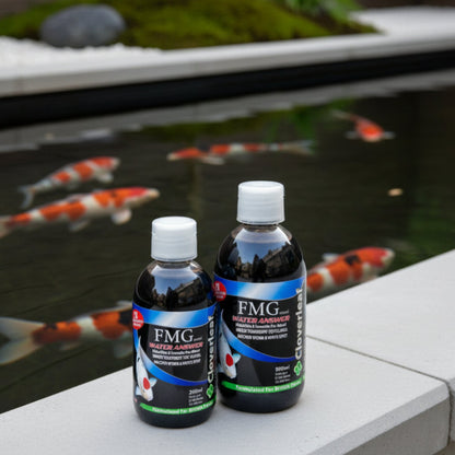 FMG Mixed Water Answer