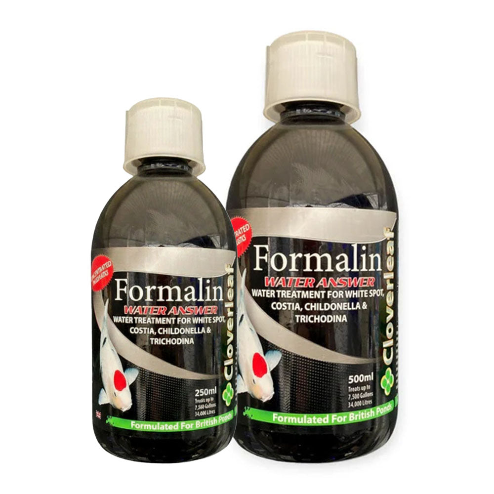 Formalin Water Answer
