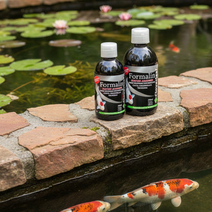 Formalin Water Answer