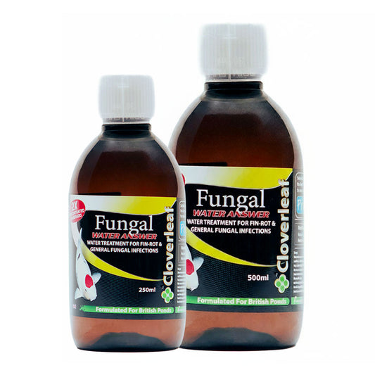 Fungal Water Answer
