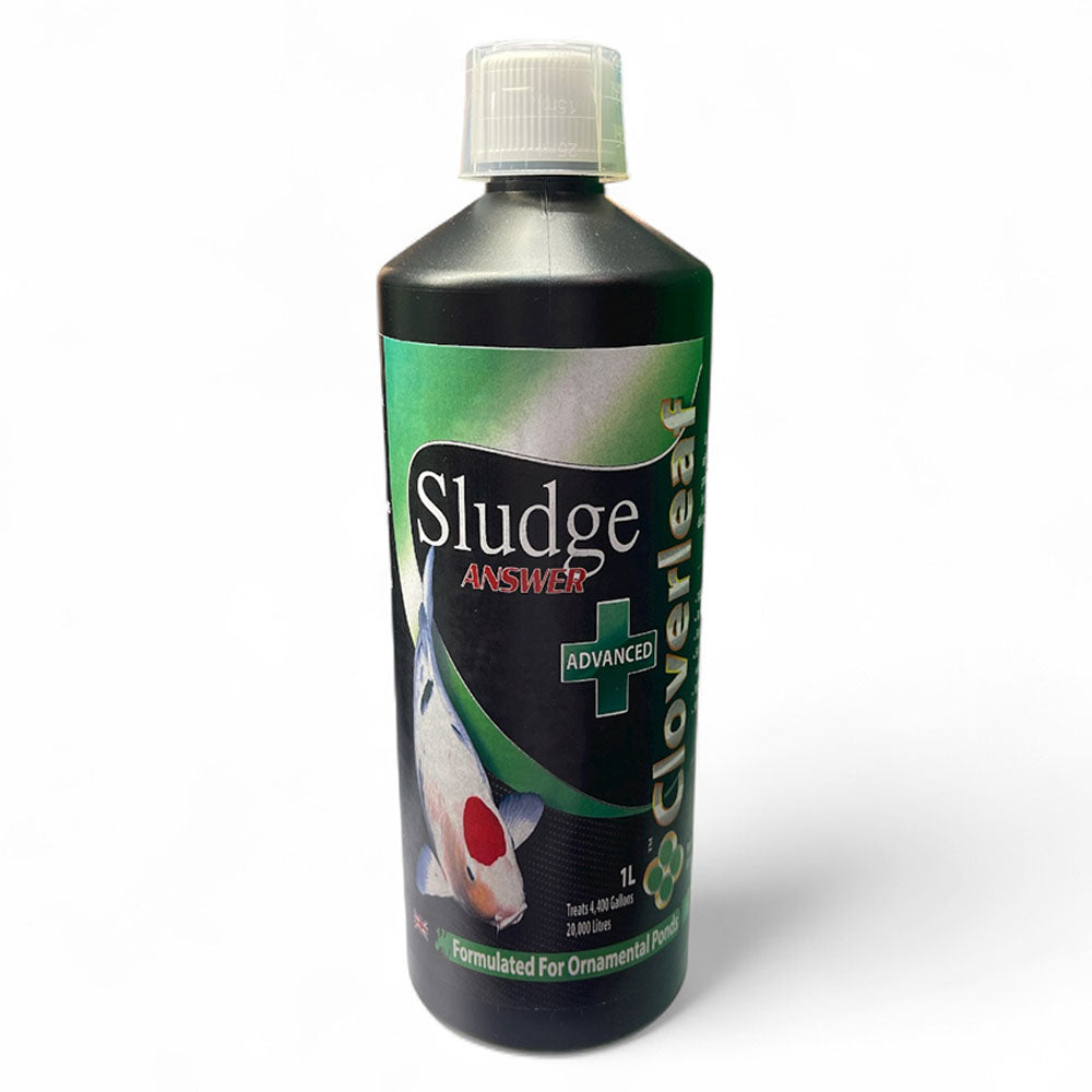 Sludge Answer Advanced+