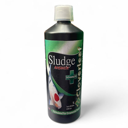 Cloverleaf Sludge Answer Advanced+