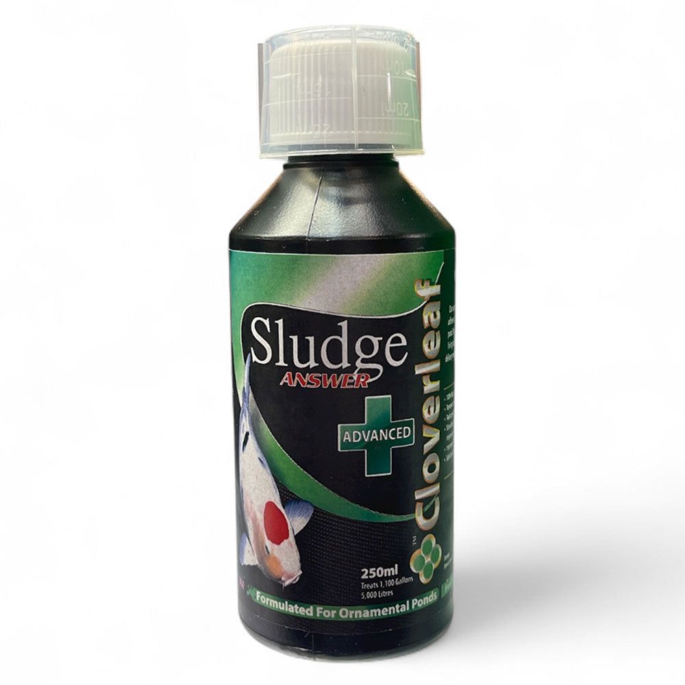 Cloverleaf Sludge Answer Advanced+