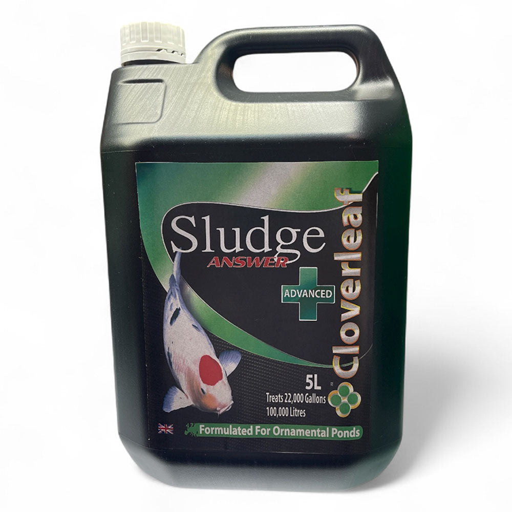 Sludge Answer Advanced+