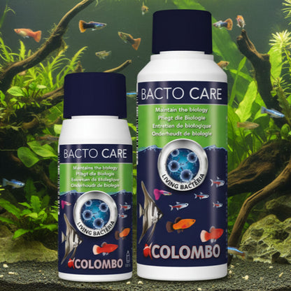 Bacto Care - Live Bacteria