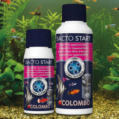Bacto Start - Filter Bacteria 100ml