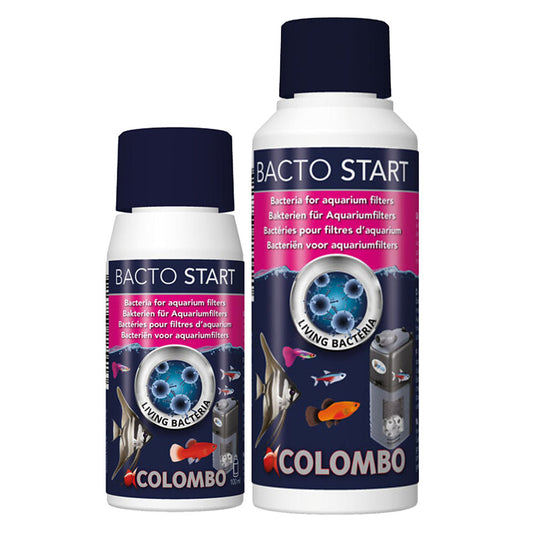 Bacto Start - Filter Bacteria 100ml