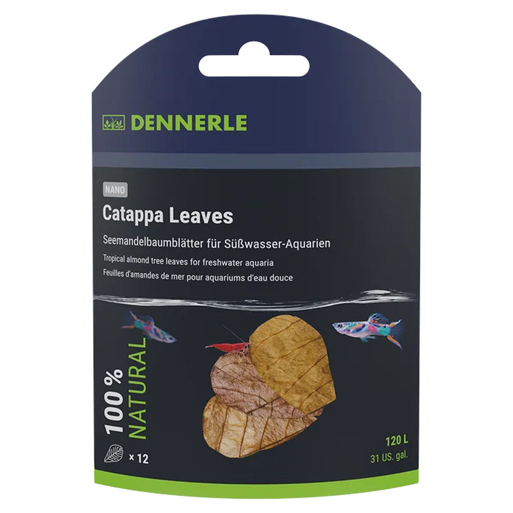 Dennerle Nano Catappa Leaves (12pk)