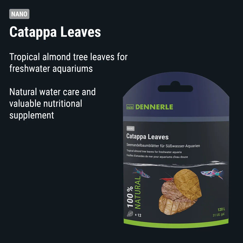 Nano Catappa Leaves (12pk)
