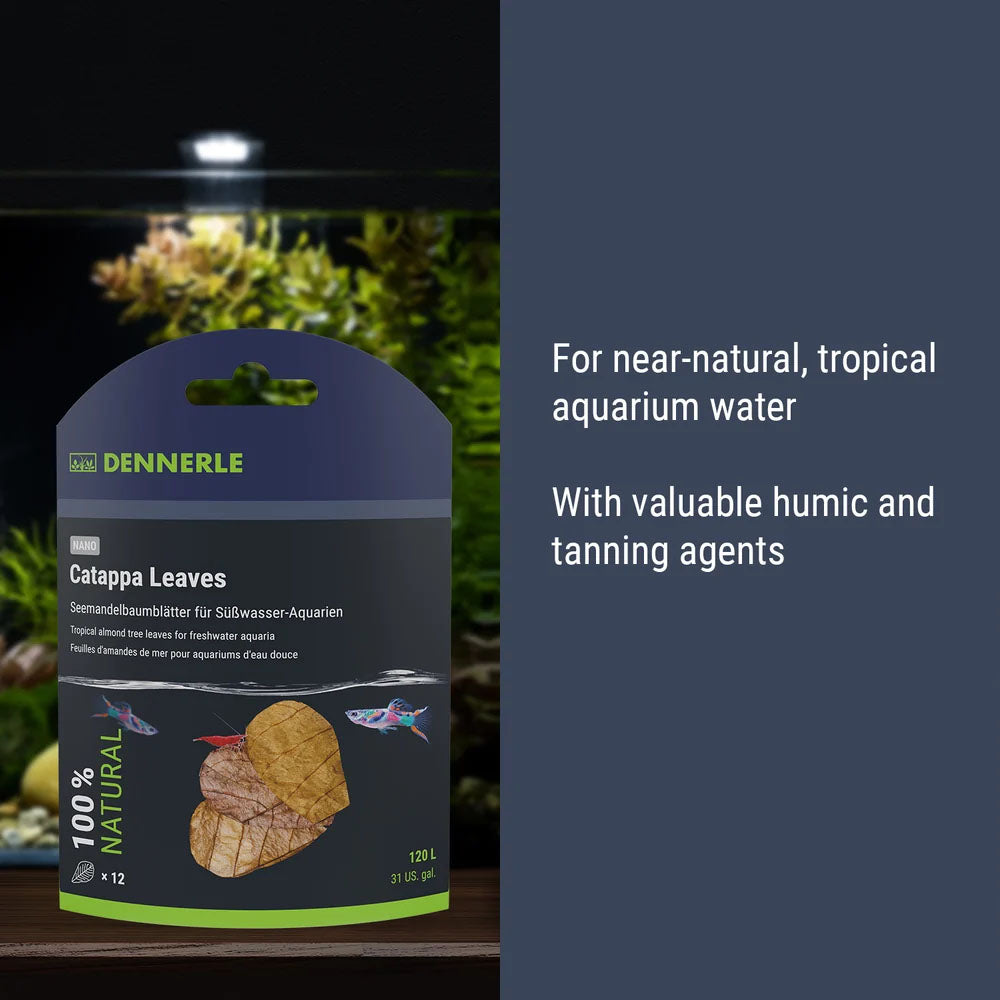 Dennerle Nano Catappa Leaves (12pk)