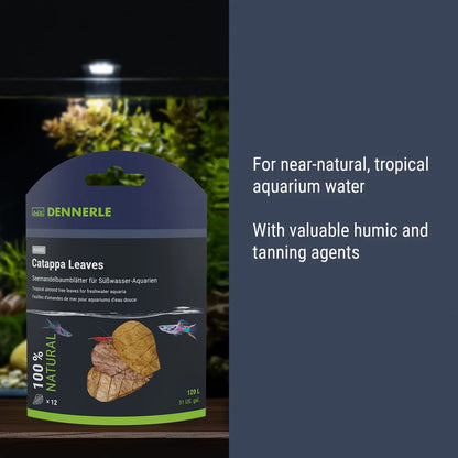 Dennerle Nano Catappa Leaves (12pk)