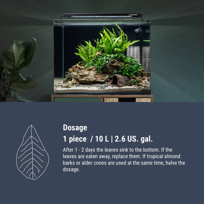 Dennerle Nano Catappa Leaves (12pk)