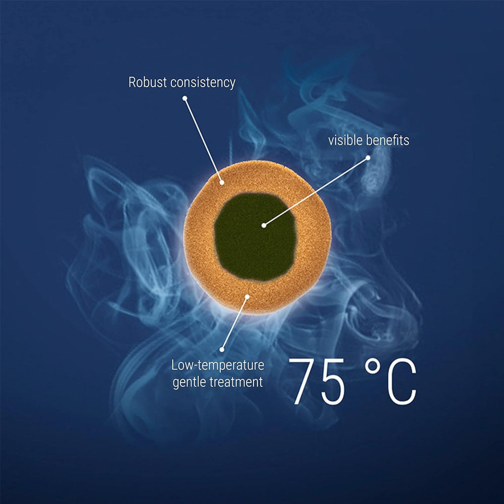 Tetra Pro Algae Tropical Fish Food
