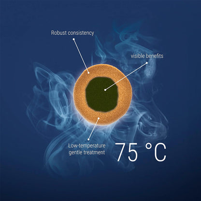Tetra Pro Algae Tropical Fish Food