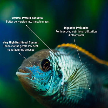 Tetra Pro Algae Tropical Fish Food
