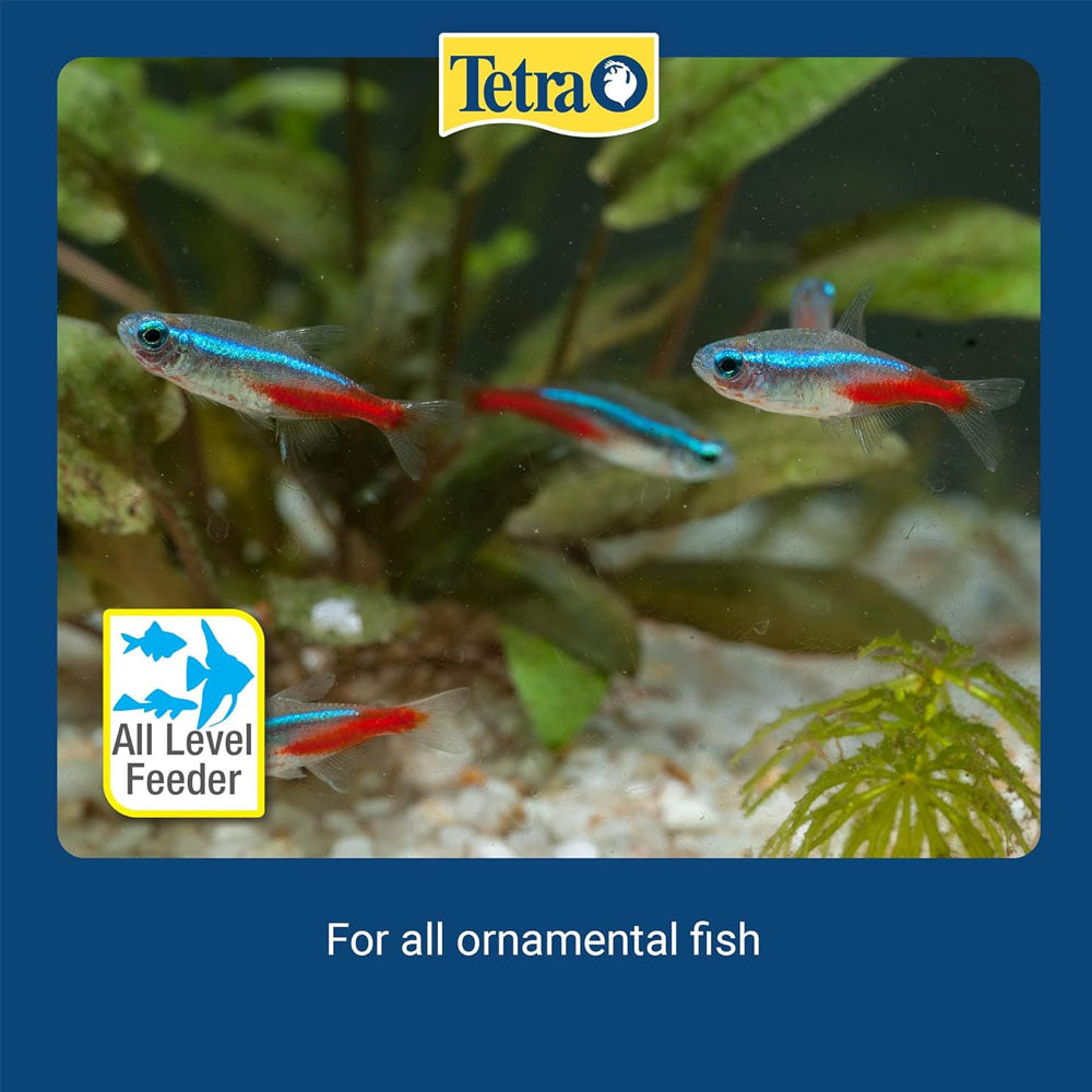 Fresh Delica Bloodworms 16 x 3g