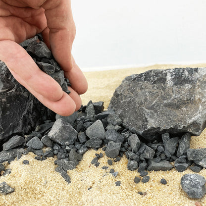 Black Chip Accent 750g