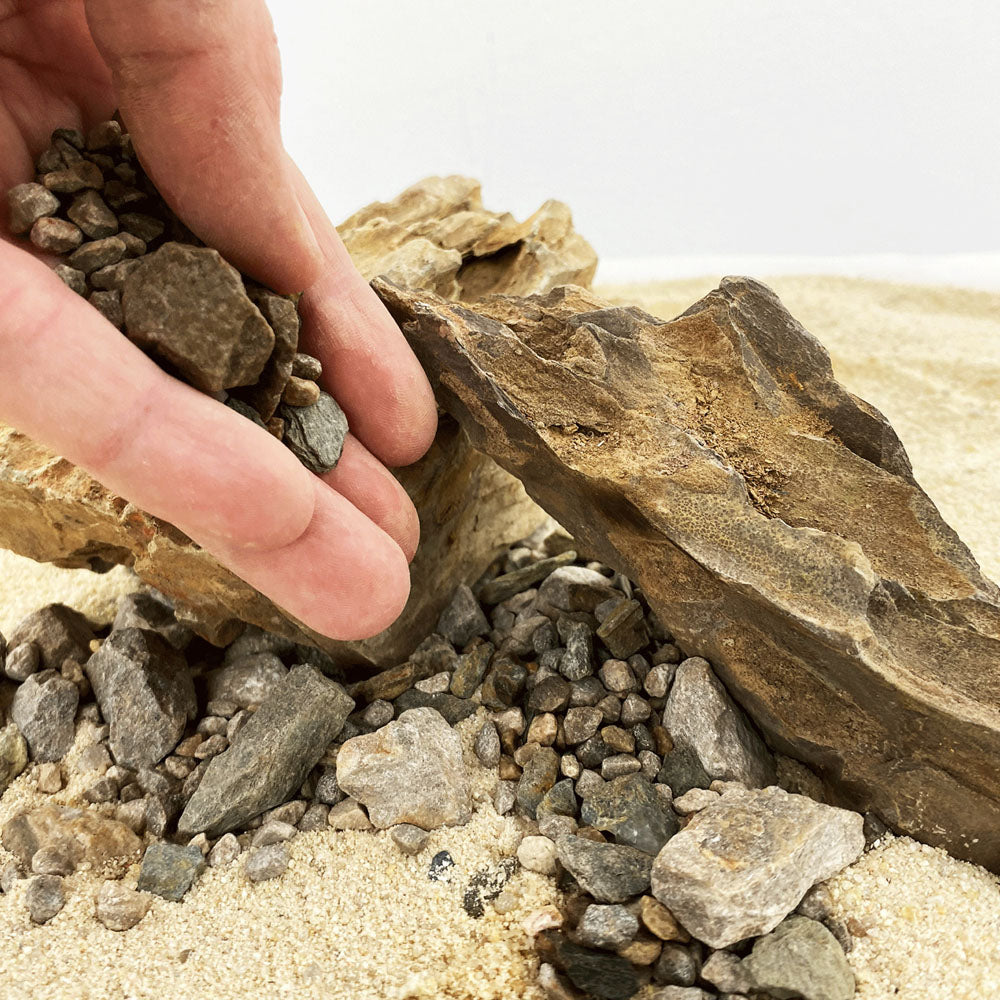 Brown Chip Accent 750g