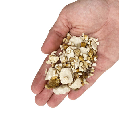 Pale Chip Accent 750g