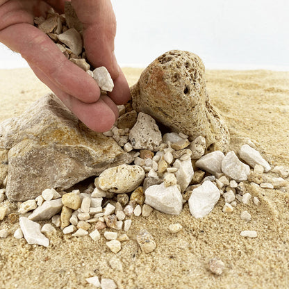 Pale Chip Accent 750g