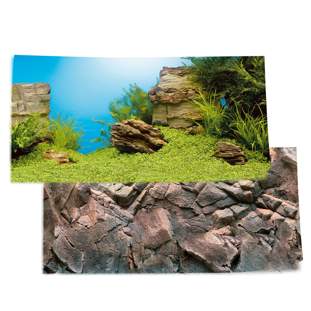 Background Poster 1 - Plant & Reef