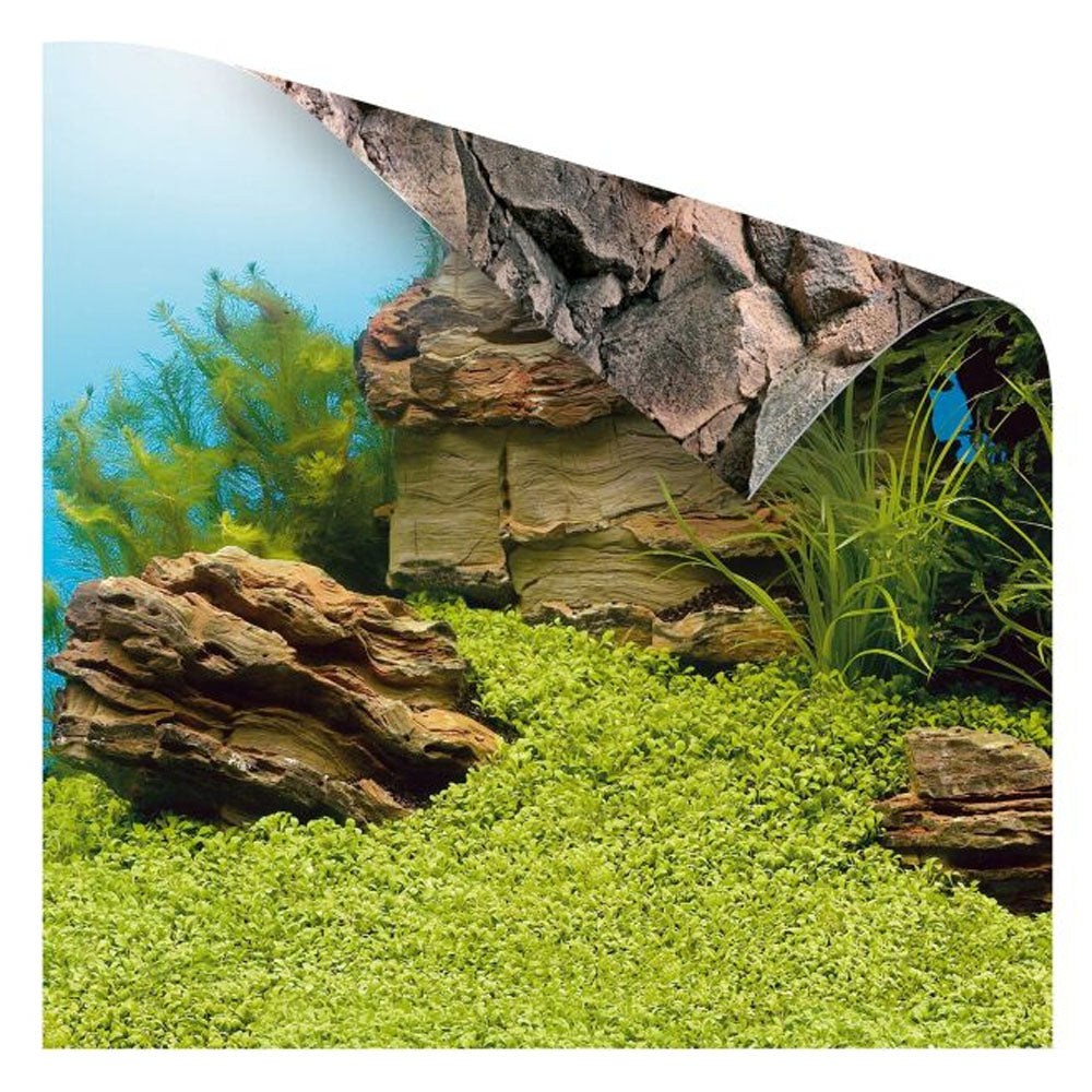 Background Poster 1 - Plant & Reef