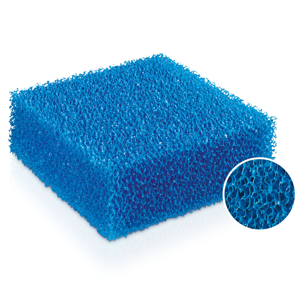 BioPlus Coarse - Filter Sponge