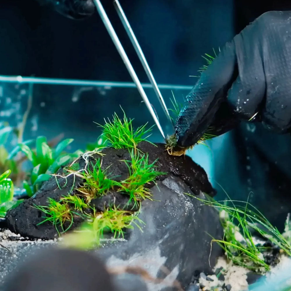 Wio Sticky Soil 900g