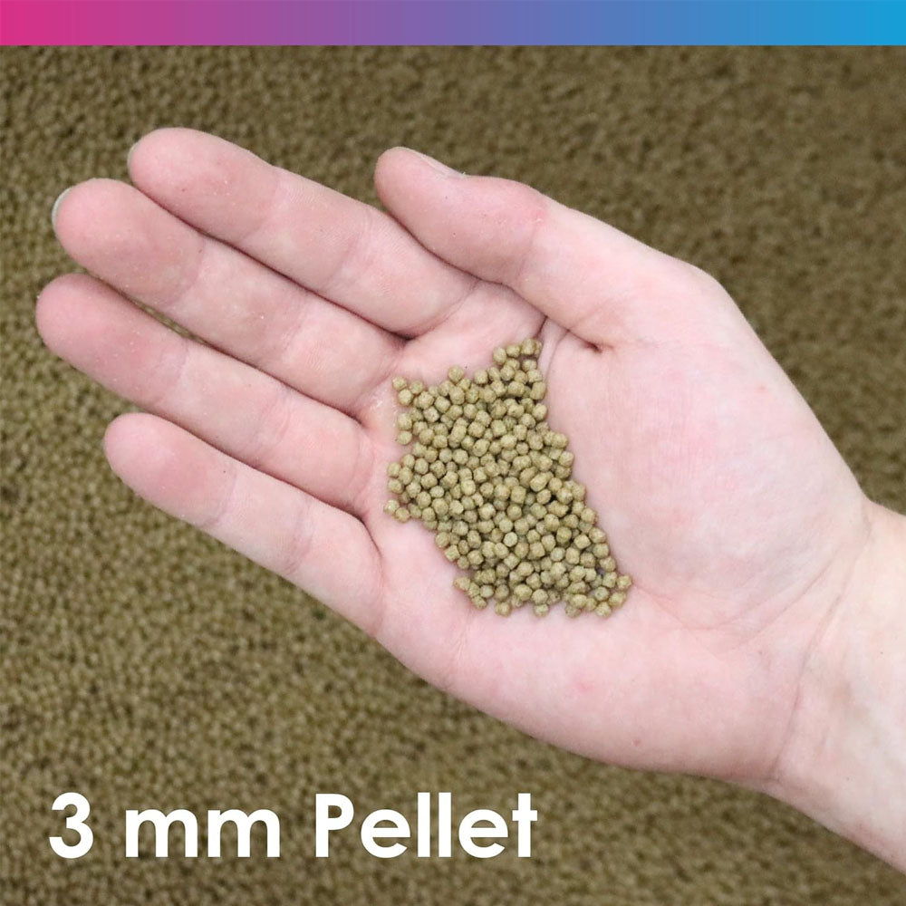 Medikoi Probiotic Wheatgerm With Garlic