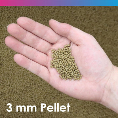 Medikoi Probiotic Wheatgerm With Garlic