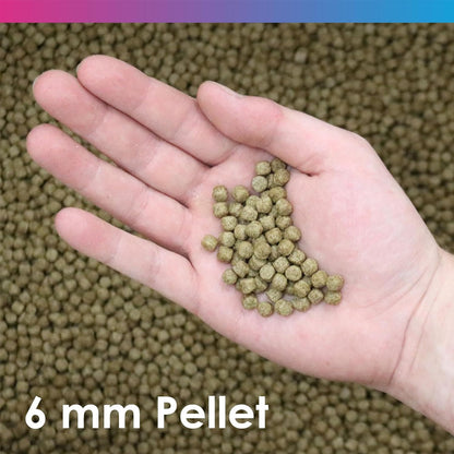 Medikoi Probiotic Wheatgerm With Garlic