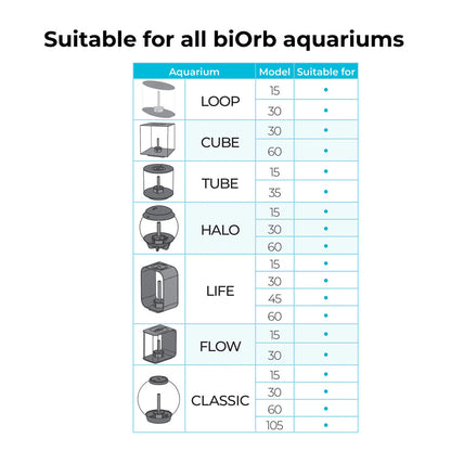 Sea Shells - Natural