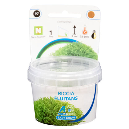 aquafleur Easy Grow Riccia Fluitans