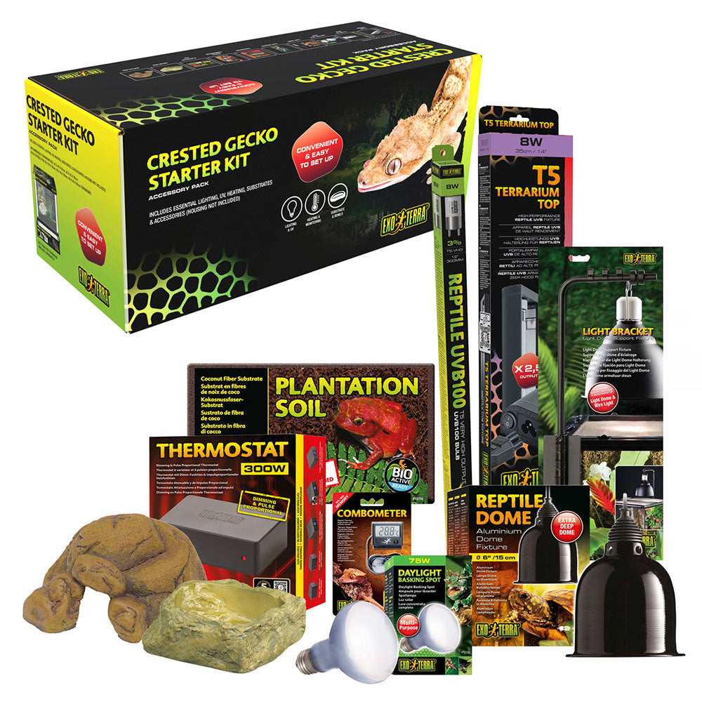 Crested Gecko Starter Kit