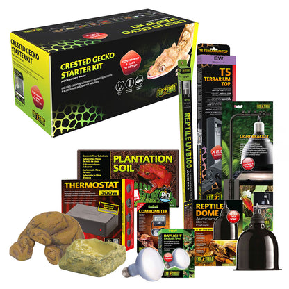 Crested Gecko Starter Kit